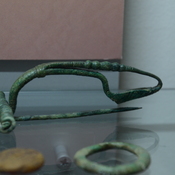 Late Iron fibula