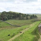 Wall to the north-east