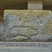 Building stone with carving of a boar, XX Valeria Victrix