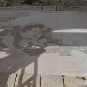 Kourion, Mosaics in the house of Achilles