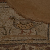 Kourion, Eustolios house, Mosaic picturing a bird