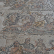 Nea Paphos, House of Aion, Mosaic