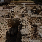 Nea Paphos, House of Dionysus, Remains