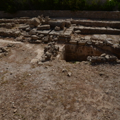 Nea Paphos, House of Dionysus, Remains