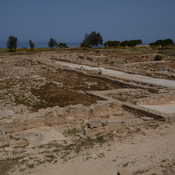Nea Paphos, House of Dionysus, Remains
