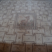 Nea Paphos, House of Dionysus, Room 2 with mosaic presenting Narcissus