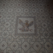 Nea Paphos, House of Dionysus, Room 8 with mosaic presenting the abduction of Ganymedes by an eagle