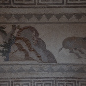 Nea Paphos, House of Dionysus, Room 10 with mosaic presenting a mountain and a running horse