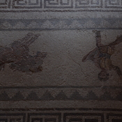Nea Paphos, House of Dionysus, Room 10 with mosaic presenting lunging of a horse