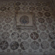 Nea Paphos, House of Dionysus, Room 15 with mosaic presenting a peacock