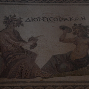 Nea Paphos, House of Dionysus, Room 16 with mosaic of Dionysos and Akme
