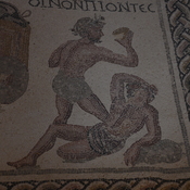 Nea Paphos, House of Dionysus, Room 16 with mosaic with fighting wine drinkers