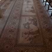 Nea Paphos, House of Dionysus, Room 16 with mosaic