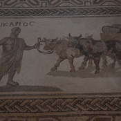 Nea Paphos, House of Dionysus, Room 16 with mosaic of Ikarios, leading the oxen of a oxen cart