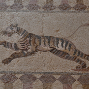 Nea Paphos, House of Dionysus, Room 10 with mosaic presenting a tiger