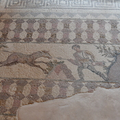 Nea Paphos, House of Dionysus, Room 10 with mosaic presenting hunter fighting a mule