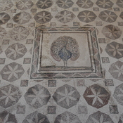 Nea Paphos, House of Dionysus, Room 15 with mosaic presenting a peacock