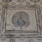 Nea Paphos, House of Dionysus, Room 15 with mosaic presenting a peacock