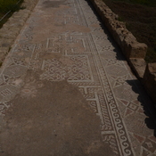 Nea Paphos, House of Theseus, Geometric mosaic