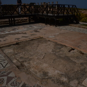 Nea Paphos, House of Theseus, Mosaicfloor in throneroom