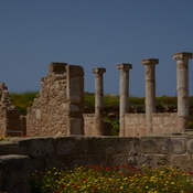 Nea Paphos, House of Theseus, Exterior with columns