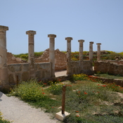 Nea Paphos, House of Theseus, Exterior with columns