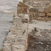 Nea Paphos, House of Theseus, Mosaicfloor in the eastwing