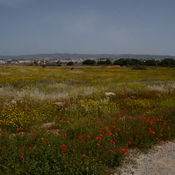 Nea Paphos, General view of the agora/odeion/asclepeion