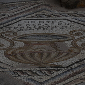 Nea Paphos, Chrysopolitissa, Mosaic with vase