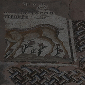 Nea Paphos, Chrysopolitissa, Mosaic with deer