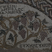 Nea Paphos, Chrysopolitissa, Mosaic with vine and grapes