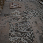 Nea Paphos, Chrysopolitissa, Mosaic