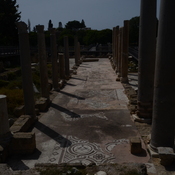 Nea Paphos, Chrysopolitissa, Mosaic in the colonnade