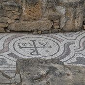 Nea Paphos, Chrysopolitissa, Mosaicfloor of the basilica outside the church