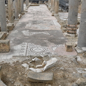 Nea Paphos, Chrysopolitissa, Mosaic in the colonnade