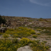 Nea Paphos, Remains of the temple of Asclepius