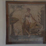 Old Paphos, Sanctuary of Aphrodite, Mosaic presenting Leda and the swan