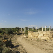 Salamis, Gymnasium, columns