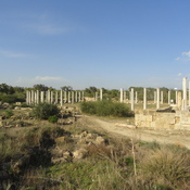 Salamis, Gymnasium, columns