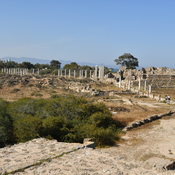 Salamis, Palaestra and baths, general view