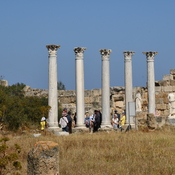 Salamis, Palaestra, columns