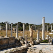 Salamis, Palaestra, columns