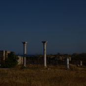 Salamis, Remains of the Kampanopetra basilica, columns