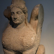 Karpasia, sphinx