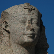 Alexandria, Serapeum, Head of sphinx Horemheb