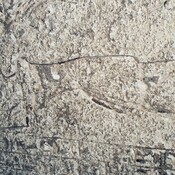 Amarna, Tomb of chamberlain Tutu, relief