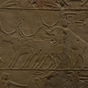 Saqqara, Chapel of Hetepherachet, Relief of a bull and cows