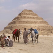 Saqqara, Pyramid of Djoser with animals