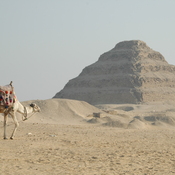 Saqqara, Pyramid of Djoser with a dromedary