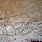 Saqqara, Tomb of Ka-gmnim, Crocolile and fish